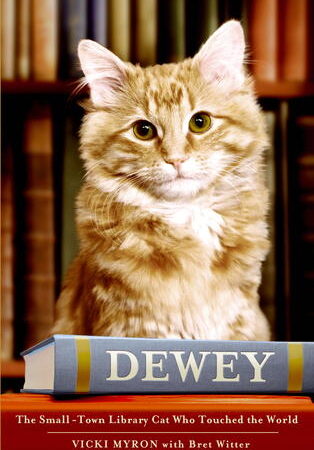 Dewey the Small-Town Library Cat Who Touched the World