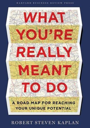 What You're Really Meant to Do (Free Book Format: epub/mobi)