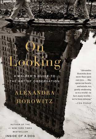 On Looking: A Walker's Guide to the Art of Observation