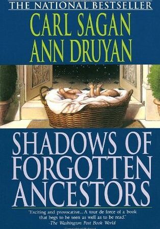 Shadows of Forgotten Ancestors
