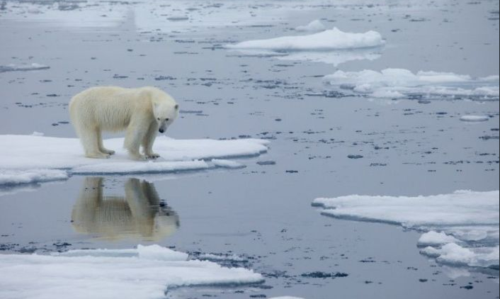 Arctic endured one of its hottest years in 2020: study